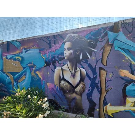  france-vallon-pont-d-arc-graffiti