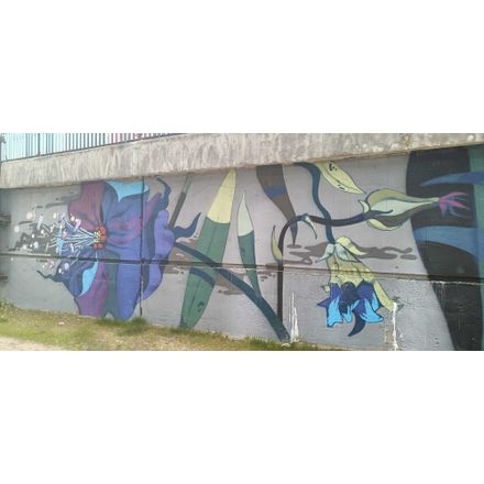  czechia-hlavni-mesto-praha-graffiti