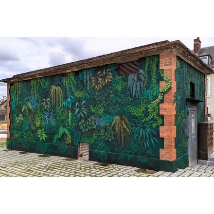 Mur-murations végétales france-bourges-graffiti