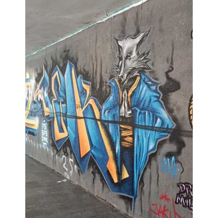  czechia-hlavni-mesto-praha-graffiti