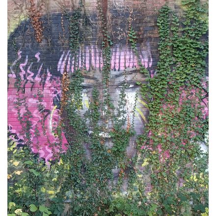  france-rennes-graffiti