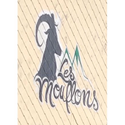  france-mont-dore-graffiti