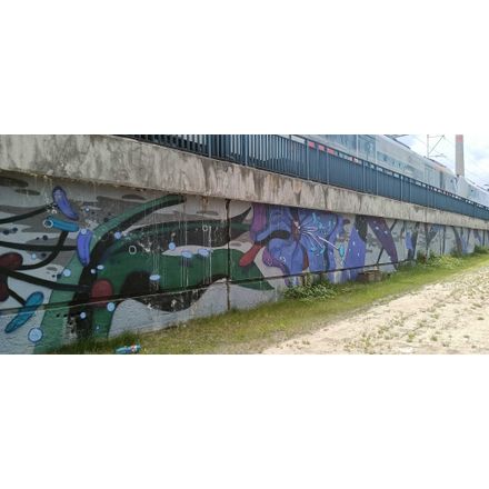  czechia-hlavni-mesto-praha-graffiti