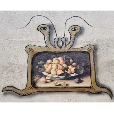  france-clermont-ferrand-graffiti