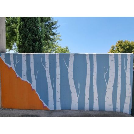  france-vallon-pont-d-arc-graffiti