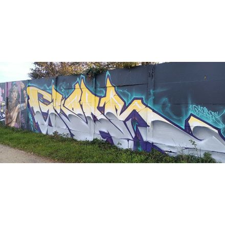  france-rennes-graffiti