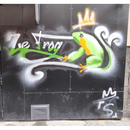 Ze frog france-clermont-ferrand-graffiti