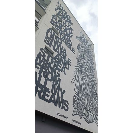  czechia-hlavni-mesto-praha-graffiti