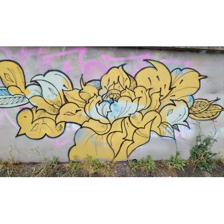  france-grenoble-graffiti