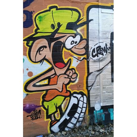  france-rennes-graffiti