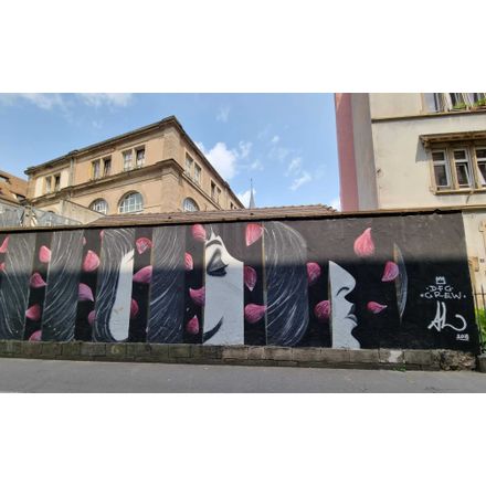  france-strasbourg-graffiti