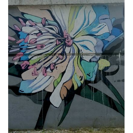  czechia-hlavni-mesto-praha-graffiti