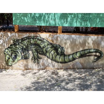  france-vallon-pont-d-arc-graffiti