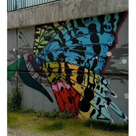  czechia-hlavni-mesto-praha-graffiti