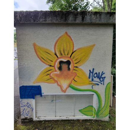  france-saint-nectaire-graffiti