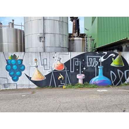  france-vallon-pont-d-arc-graffiti