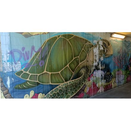  czechia-hlavni-mesto-praha-graffiti