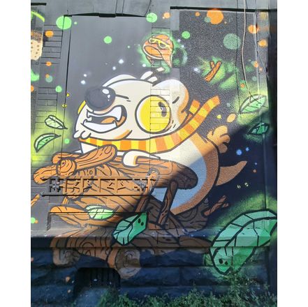  france-clermont-ferrand-graffiti