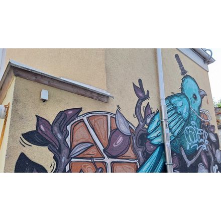  austria-innere-stadt-graffiti