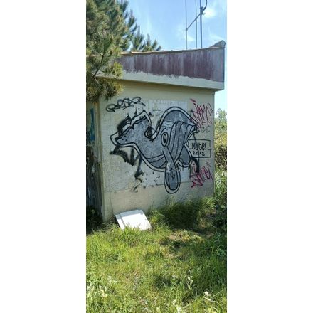  france-saint-clement-des-baleines-graffiti