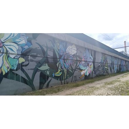  czechia-hlavni-mesto-praha-graffiti