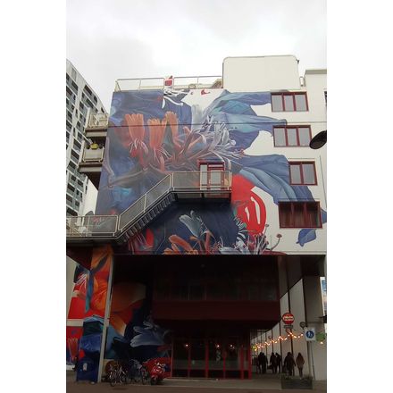  netherlands-rotterdam-graffiti