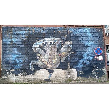  lithuania-vilnius-graffiti