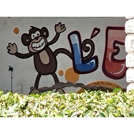  france-saulzet-graffiti