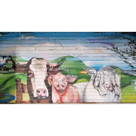  france-clermont-ferrand-graffiti