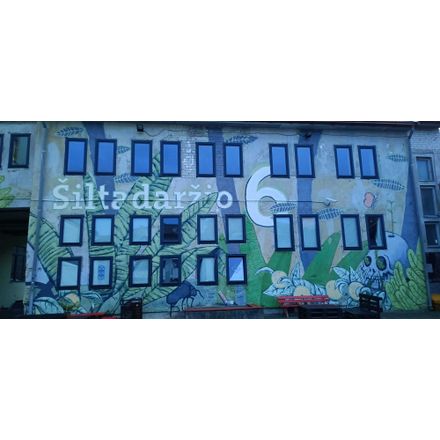  lithuania-vilnius-graffiti