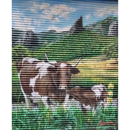  france-clermont-ferrand-graffiti