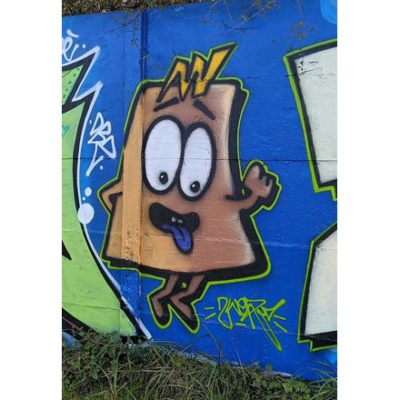  france-rennes-graffiti