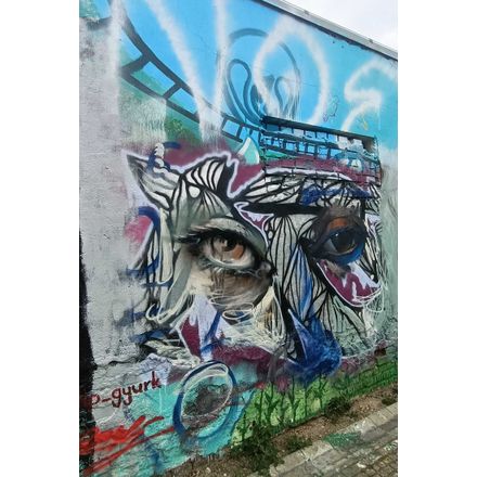  czechia-hlavni-mesto-praha-graffiti
