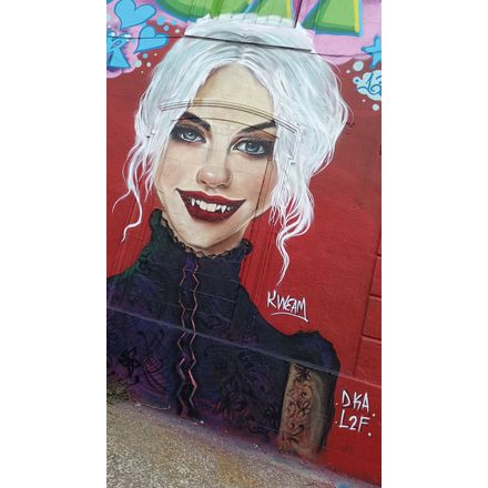  france-la-rochelle-graffiti