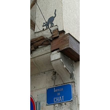 Impasse du chat france-bourges-mosaic