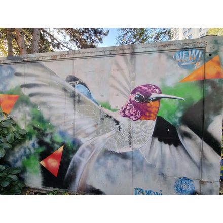  france-clermont-ferrand-graffiti