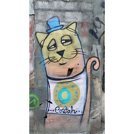  portugal-porto-graffiti