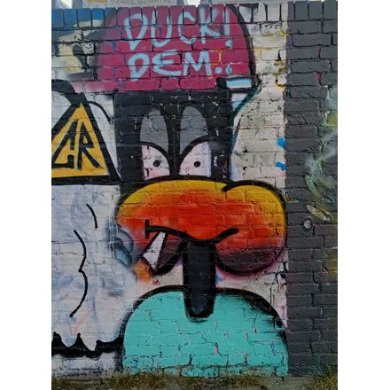 Duck dem united-kingdom-england-graffiti