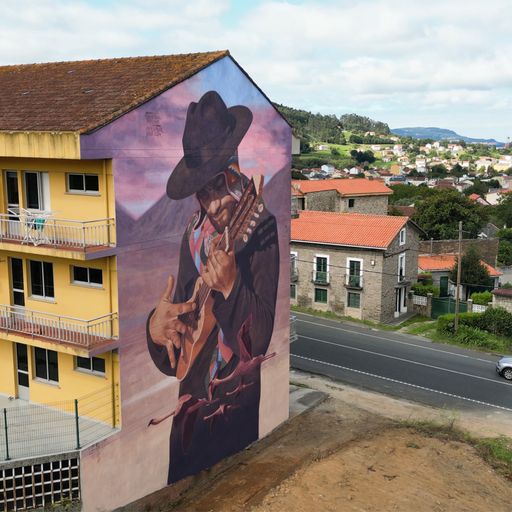 Charanguista Andino