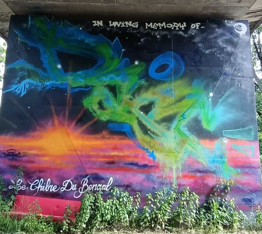 Le chibre du Bengale 