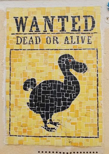 Wanted dead or alive : Dodo