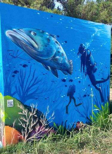 Plongée en Côte bleue