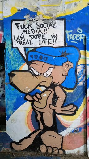 Fuck social media ! I am dope in real life !
