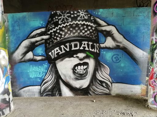 Vandalism france-paris-graffiti