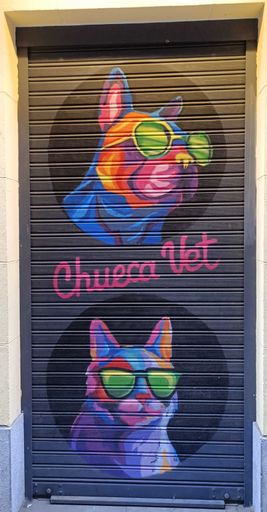 Chueca vet