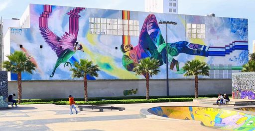 Les oiseaux du skatepark