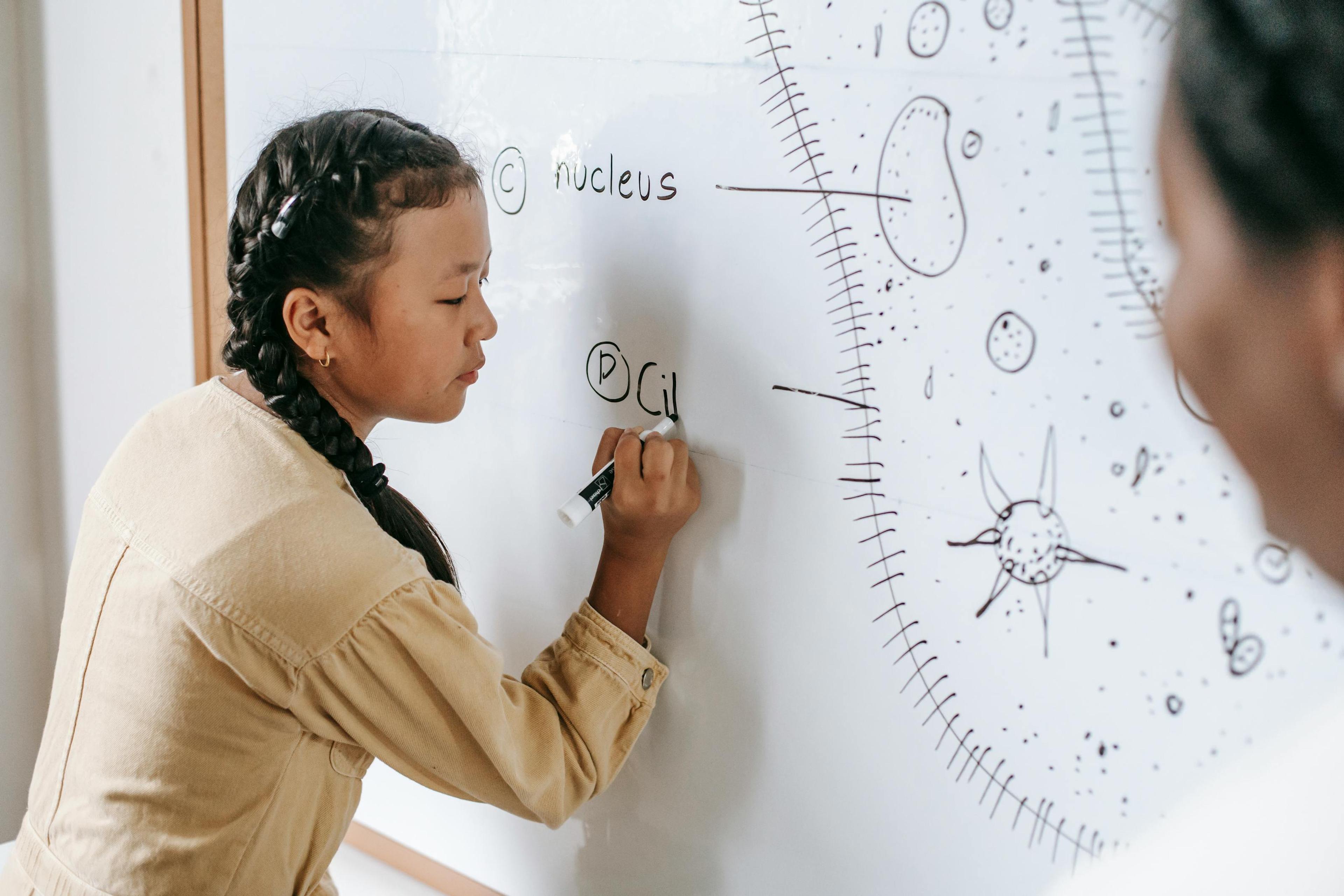 How to Study Smarter in Class 11-12: 7 Evidence-Based Techniques Indian Students Ignore