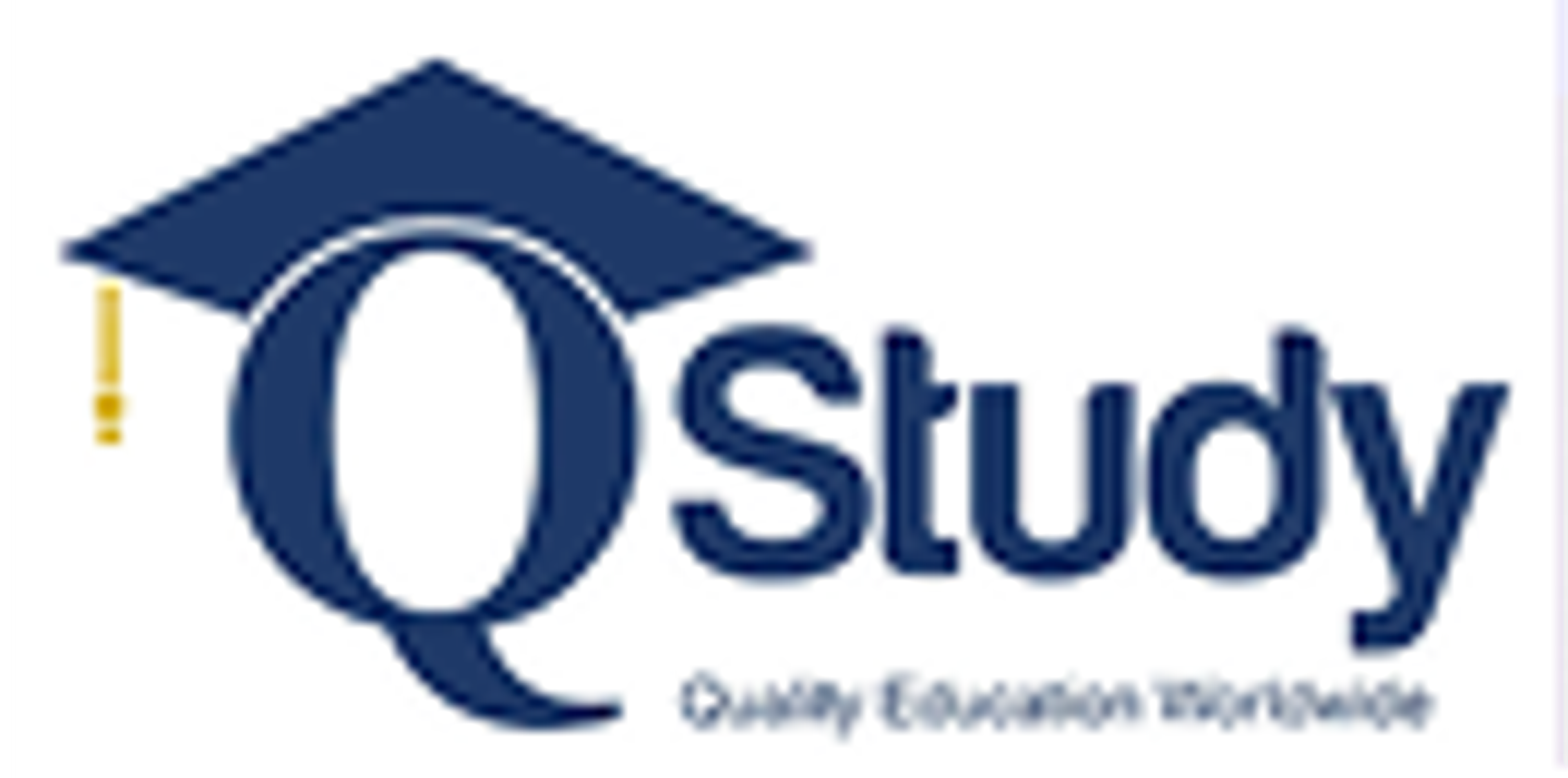 Q Study