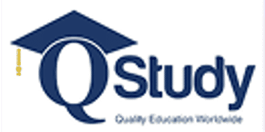 Q Study