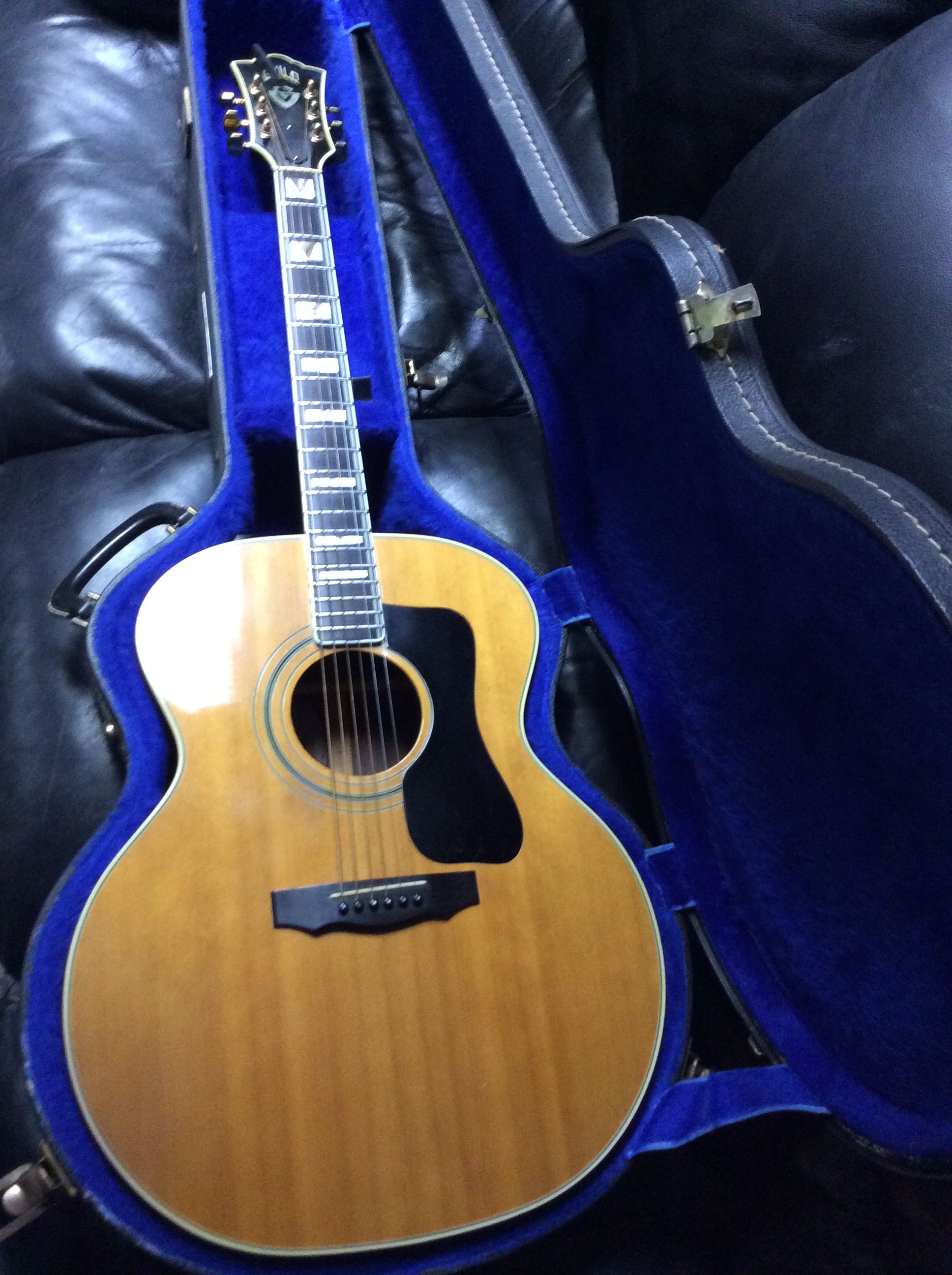 StringTree | Acoustic Guitar - Guild Guitars F50 RNT 1978 | @roge22858